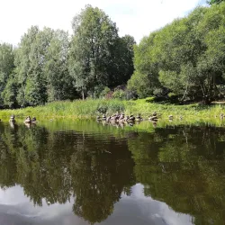 Salaca River - Rujiena