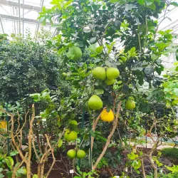 Salaspils Botanical Garden - Salaspils