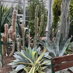 Salaspils Botanical Garden - Salaspils