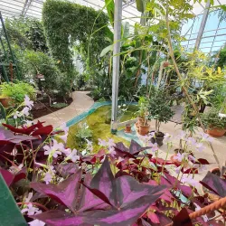 Salaspils Botanical Garden - Salaspils