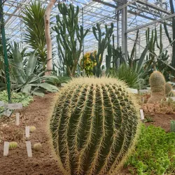 Salaspils Botanical Garden - Salaspils