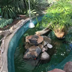 Salaspils Botanical Garden - Salaspils