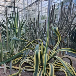 Salaspils Botanical Garden - Salaspils