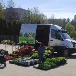 Salaspils Market - Salaspils