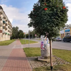 Salaspils Market - Salaspils