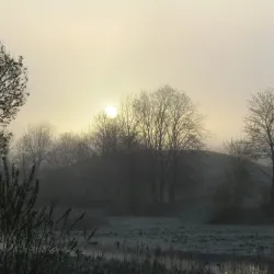 Lake Saldus - Saldus