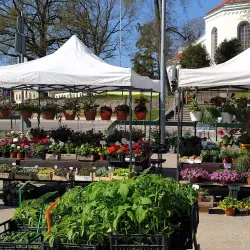 Saldus Market - Saldus