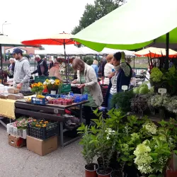 Saldus Market - Saldus