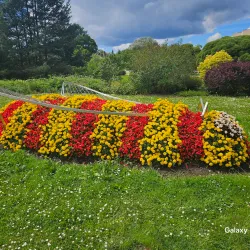 Saldus Market - Saldus