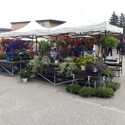 Saldus Market - Saldus