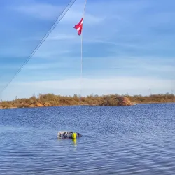 Saldus Park - Saldus