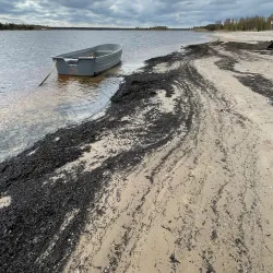 Lielupe River Mouth - Saulkrasti