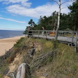 Pine Forest Trails - Saulkrasti