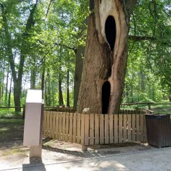 Saulkrasti Nature Park - Saulkrasti