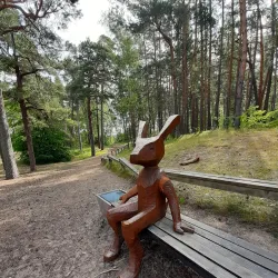 Saulkrasti Nature Park - Saulkrasti