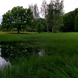 Gutmanis Cave - Sigulda