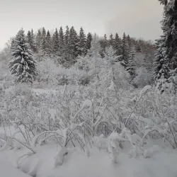 Krimulda Hiking Trails - Sigulda
