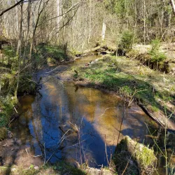 Krimulda Hiking Trails - Sigulda