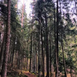 Krimulda Hiking Trails - Sigulda