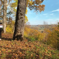 Krimulda Manor - Sigulda