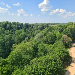 Sigulda Medieval Festival - Sigulda