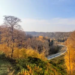 Sigulda New Castle - Sigulda