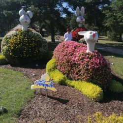 Ventspils Adventure Park - Ventspils