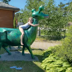 Ventspils Adventure Park - Ventspils