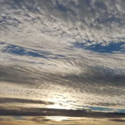 Adma Cultural Events - Adma