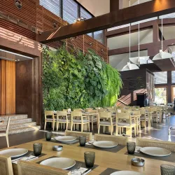 Local Lebanese Restaurants - Adma