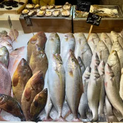 Local Lebanese Restaurants - Adma