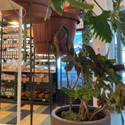 Local Markets and Shops - Adma