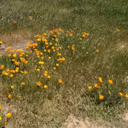 Nearby Hiking Trails - Adma