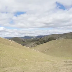 Nearby Hiking Trails - Adma