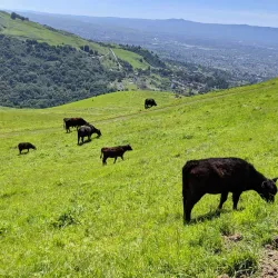 Nearby Hiking Trails - Adma