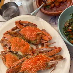 Local Seafood Restaurants - Al-batrun