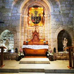 Lebanese Cedar Forests near Aley - Aley