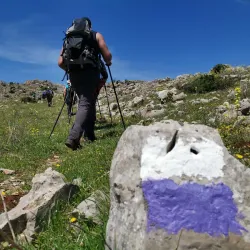 Mount Lebanon Hiking Trails - Aley