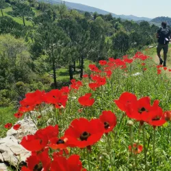 Mount Lebanon Hiking Trails - Aley