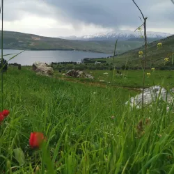 Mount Lebanon Hiking Trails - Aley