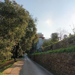 Baabda Forest - Baabda