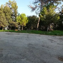 Baabda Forest - Baabda