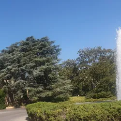 Baabda Palace - Baabda