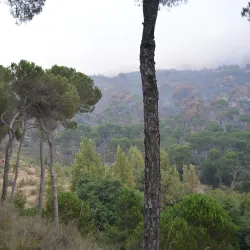 Public Parks and Gardens - Baabda