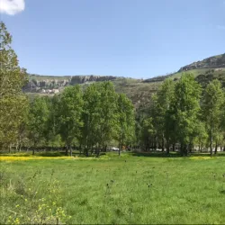 Public Parks and Gardens - Baabda