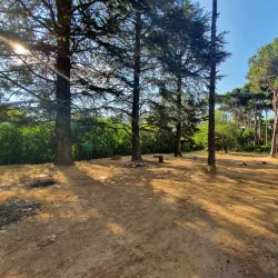 Public Parks and Gardens - Baabda