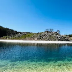 Barouk Cedar Forest - Bakaata