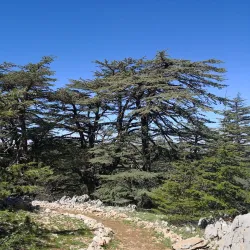 Hiking and Nature Trails - Bakaata