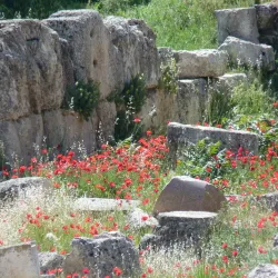 Temple of Venus - Ba'labakk