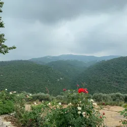 Maronite Church of St. Mary - Batroun